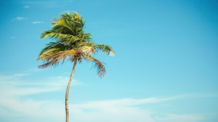A solitary palm tree swaying gently in the breeze, its fronds rustling like whispers against the backdrop of a clear blue sky.