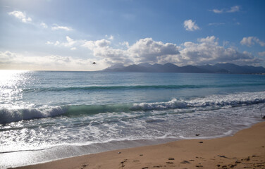 Scenic view of a beach and sea