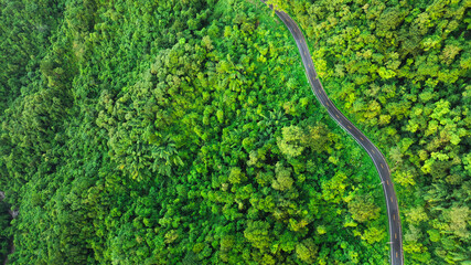 Aerial view of a road in the middle of the forest , Ecosystem ecology healthy environment road trip travel.	