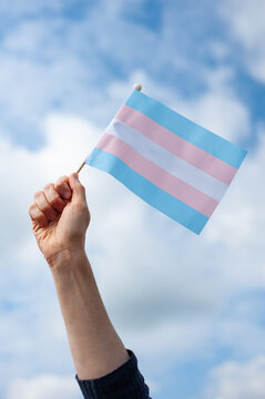 Hand holds up transgender pride flag against the sky
