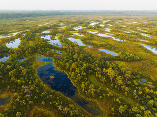 Landscape photo from a drone. Seli swamp on a summer morning.