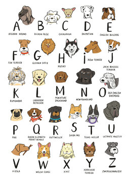 Funny dog heads breed collection illustrations alphabet.