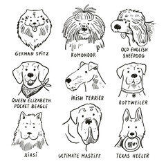 Obraz premium Funny dog heads breed collection illustrations line set.