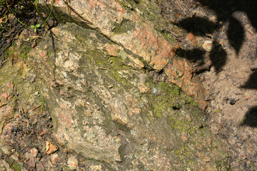 Beautiful bright and unusual natural backgrounds made of large stones with deep cracks, water, green plants with a yellow squeak.