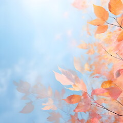 sky through autumn leaves