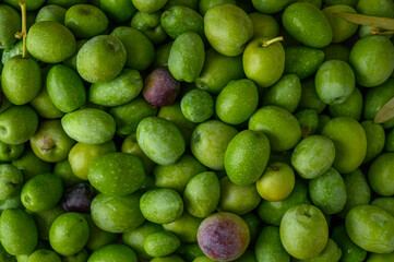 green olives freshly picked as background texture