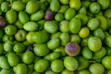 a bunch of freshly picked green olives.