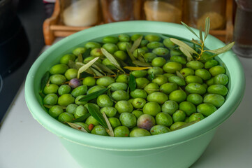 Green olives are soaked for pickling.
