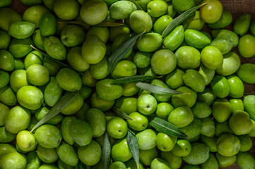 olive background with lots of texture