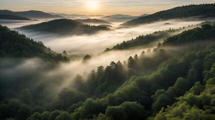 Misty Sunrise Over Rolling Forested Hills