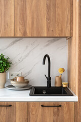Modern kitchen corner with black sink, wooden cabinets, and decorative plants in a bright living space