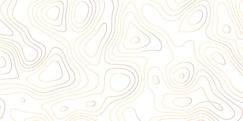 Topology and topography vector clean format contour map texture 