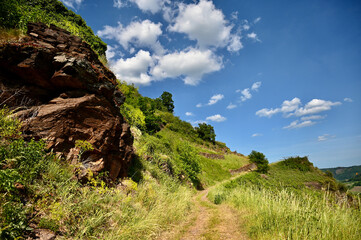 A serene hiking trail winds its way along a rugged hillside Moselsteig 