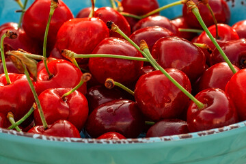A Bowl Full of Fresh Juicy Cherries That Are Delightfully Sweet and Perfectly Ripe