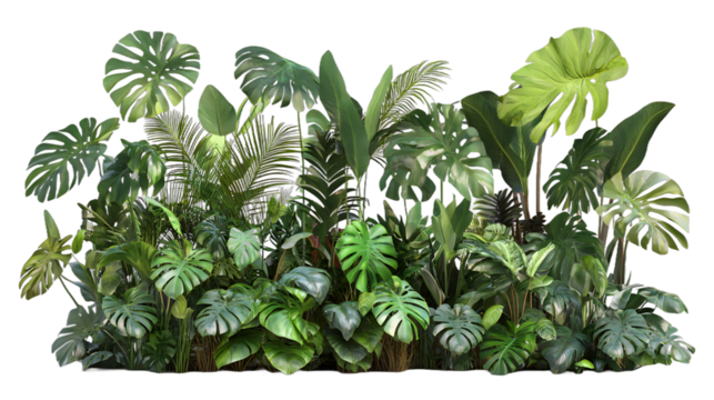 [Transparent Background PNG]Tropical Leaves 3D Rendering Isolated on White Background