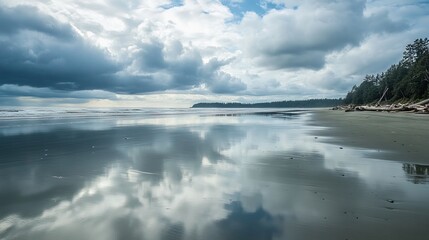 Obraz premium Desolate Beach at Low Tide with Reflective Wet Sand, Scattered Seashells, and Driftwood Along the Shoreline. AI generated illustration
