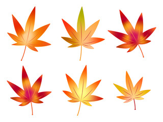 紅葉　カラフル　秋
