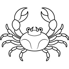Crabs line art vector illustration
