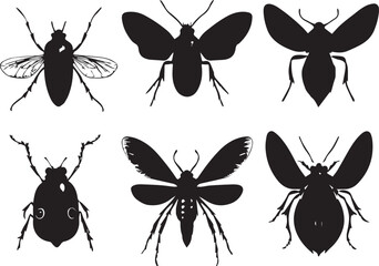 A set of insects. Hand drawn vector illustration	