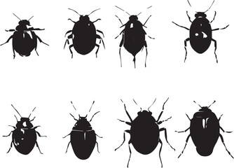 A set of insects. Hand drawn vector illustration	