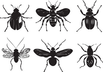 A set of insects. Hand drawn vector illustration	