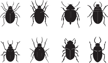 A set of insects. Hand drawn vector illustration	
