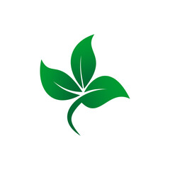 Leaf Logo Template vector symbol nature.