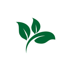 Leaf Logo Template vector symbol nature.