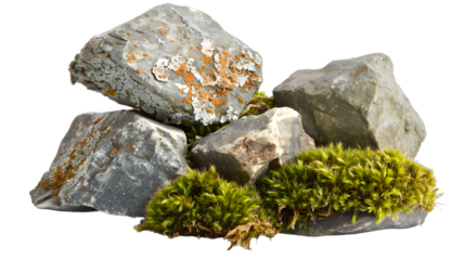 [Transparent Background PNG]Close Up Of Grey Rocks With Green Moss