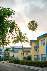 Palm trees blowing in the wind in Florida, USA
