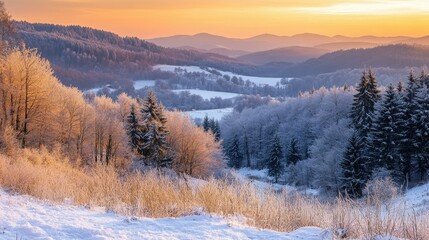 A snowy winter landscape in Bieszczady, Poland, with the warm hues of a sunset lighting up the forest and mountains.