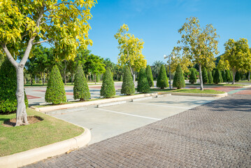 Empty space in city park outdoor concrete parking lot area with blue sky in summer season. Green nature gardening in car parking lot. Friendly environmental and transportation concept.