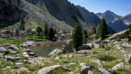 Paysage de montagne dans le secteur du Boréon dans le Parc National du Mercantour en été 