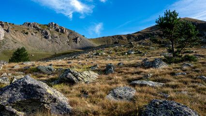 Paysage de montagne au dessus du village de Saint-Dalmas-de-Valdeblore dans le massif du Mercantour en été en France