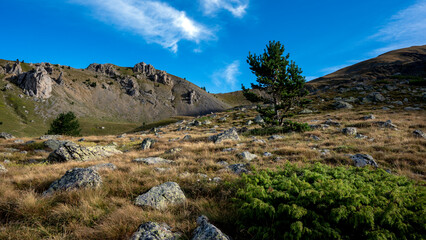 Paysage de montagne au dessus du village de Saint-Dalmas-de-Valdeblore dans le massif du Mercantour en été en France