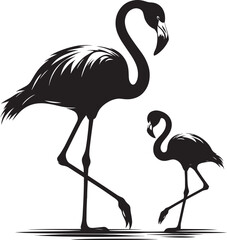Beautiful flamingo bird silhouette illustration isolated on a white background