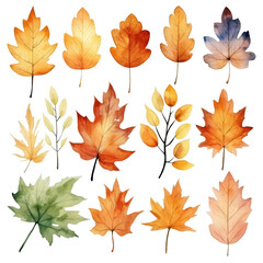 Naklejka premium A collection of 12 watercolor autumn leaves in various shapes, sizes, and shades of yellow, orange, red, and brown. The leaves are isolated on a transparent background.