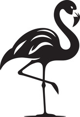 Beautiful flamingo bird silhouette illustration isolated on a white background