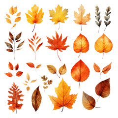 Fototapeta premium A collection of 20 autumn leaves in various shapes and colors, painted in a watercolor style.