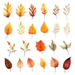 Obraz premium A collection of 24 autumn leaves in various shades of red, orange, yellow, and brown, digitally painted in a watercolor style.
