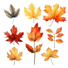 Obraz premium A collection of nine autumn leaves in various shades of red, orange, and yellow.
