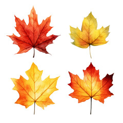 Fototapeta premium Four autumn leaves in shades of red, yellow, and orange isolated on a transparent background.
