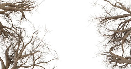 Abstract Tree Roots Border Frame Background
