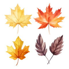 Obraz premium Four autumn leaves, one yellow, one red, one orange, and two purple. The leaves are drawn with watercolor style.