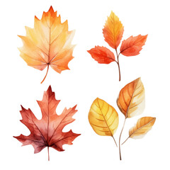 Fototapeta premium Four watercolor illustrations of autumn leaves in orange, yellow, and red hues on a transparent background.