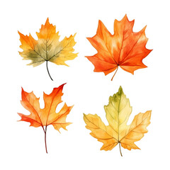 Obraz premium Four watercolor maple leaves in orange, red, and yellow.