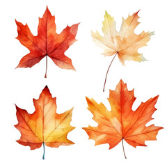 Obraz premium Four watercolor maple leaves in shades of red, orange, and yellow, isolated on a transparent background.