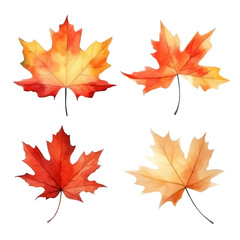 Obraz premium Four watercolor maple leaves in various shades of red, orange, and yellow.