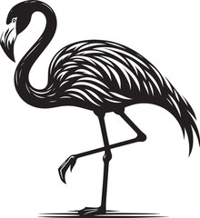 Beautiful flamingo bird silhouette illustration isolated on a white background