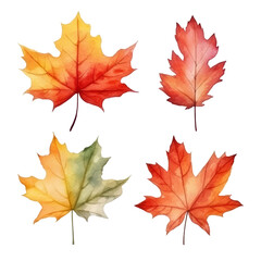 Obraz premium Four watercolor painted autumn leaves in shades of yellow, orange and red, isolated on transparent background.